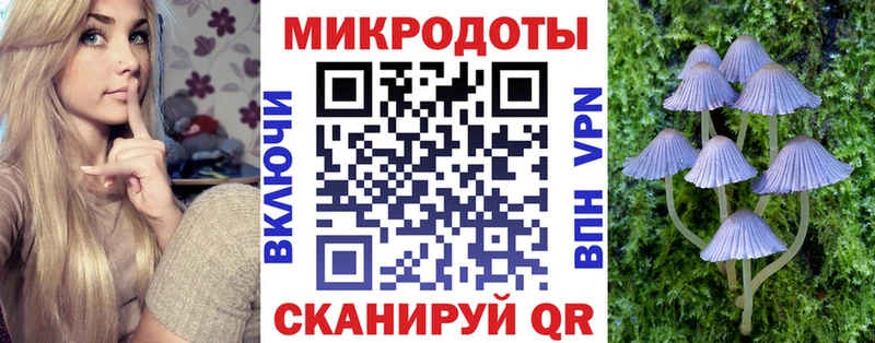 Псилоцибиновые грибы прущие грибы  Верхний Уфалей 